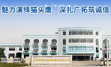 無錫市貓頭鷹紡織器材有限公司